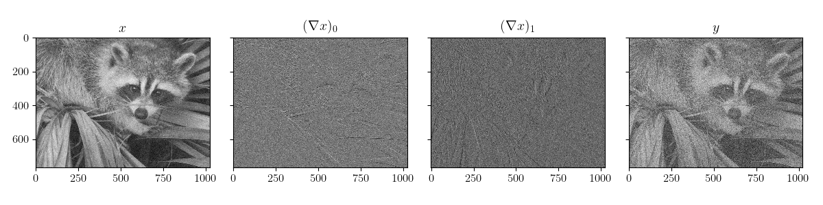 ../../_images/sphx_glr_plot_raccoon_denoise_004.png